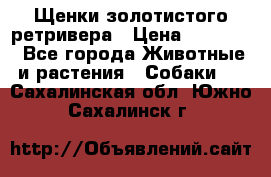 Щенки золотистого ретривера › Цена ­ 15 000 - Все города Животные и растения » Собаки   . Сахалинская обл.,Южно-Сахалинск г.